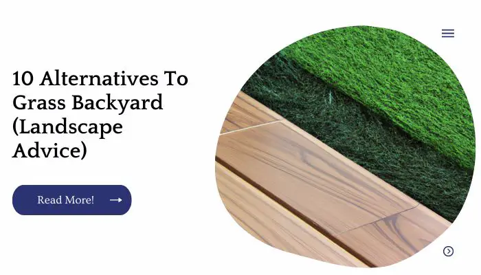 10 Alternatives To Grass Backyard (Landscape Advice)