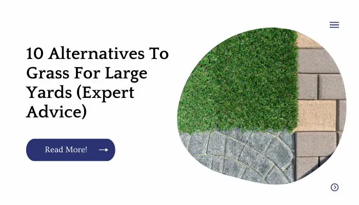 10 Alternatives To Grass For Large Yards (Expert Advice)