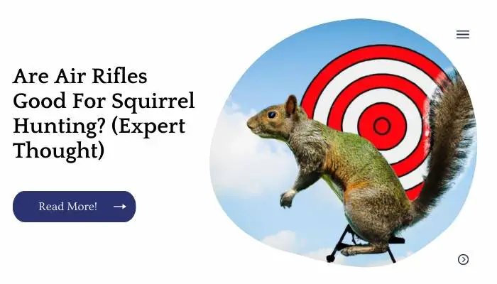 Are Air Rifles Good For Squirrel Hunting (Expert Thought)