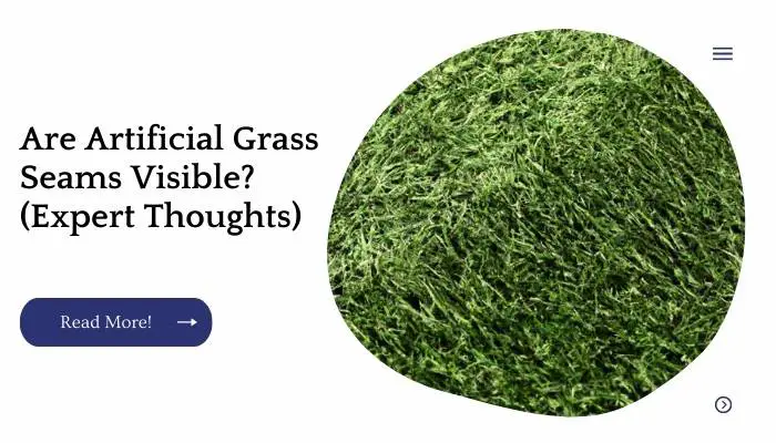 Are Artificial Grass Seams Visible? (Expert Thoughts)