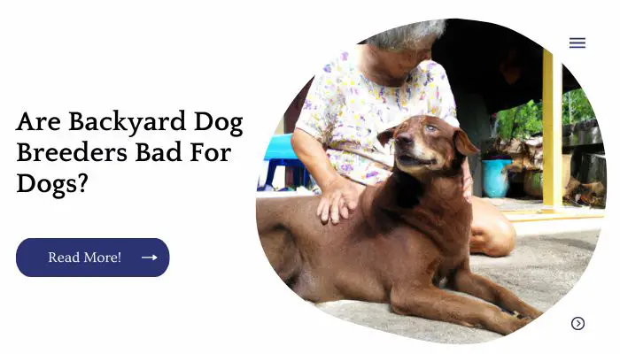 Are Backyard Dog Breeders Bad For Dogs?