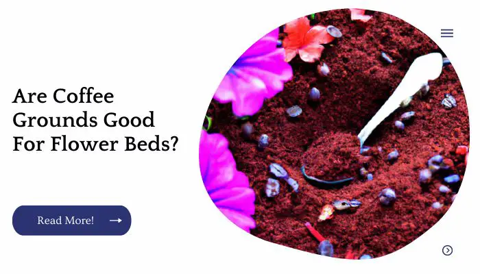 Are Coffee Grounds Good For Flower Beds?