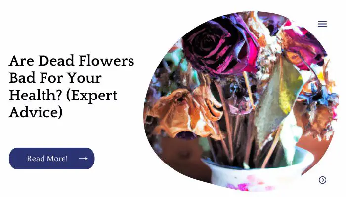 Are Dead Flowers Bad For Your Health? (Expert Advice)