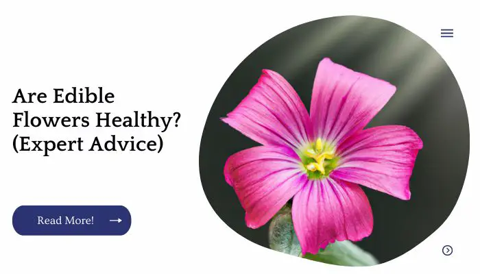 Are Edible Flowers Healthy? (Expert Advice)