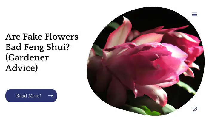 Are Fake Flowers Bad Feng Shui? (Gardener Advice)