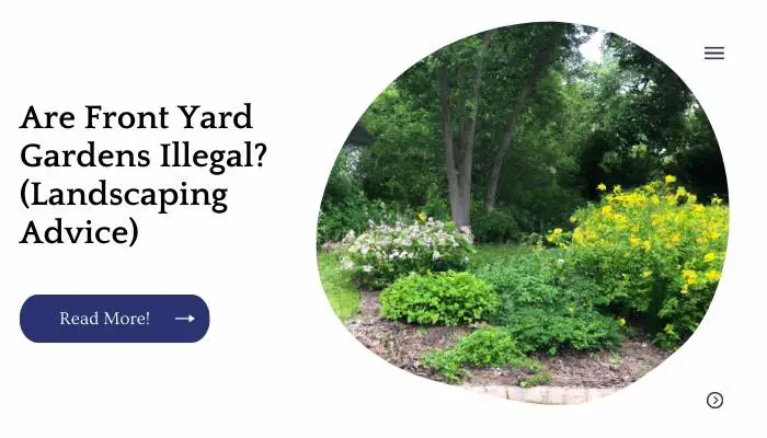 Are Front Yard Gardens Illegal? (Landscaping Advice)