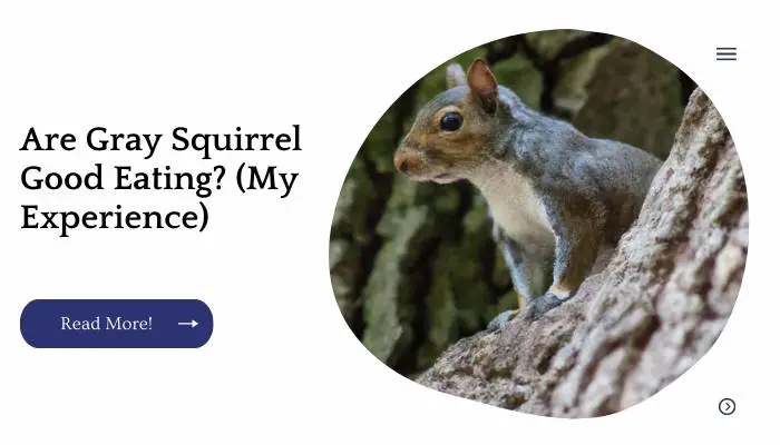 Are Gray Squirrel Good Eating? (My Experience)