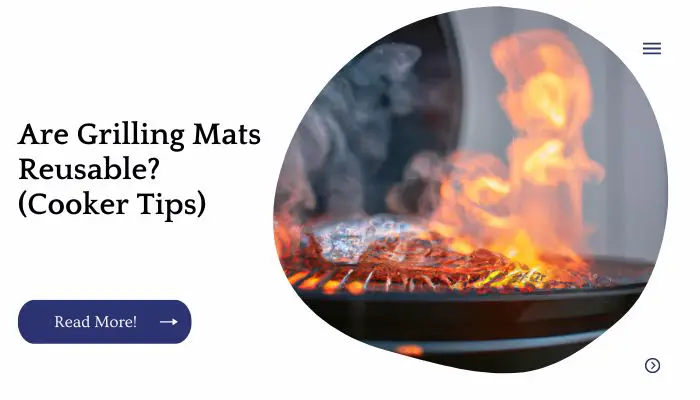 Are Grilling Mats Reusable? (Cooker Tips)