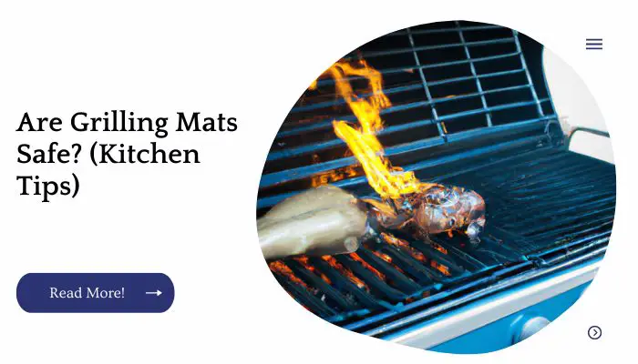 Are Grilling Mats Safe? (Kitchen Tips)