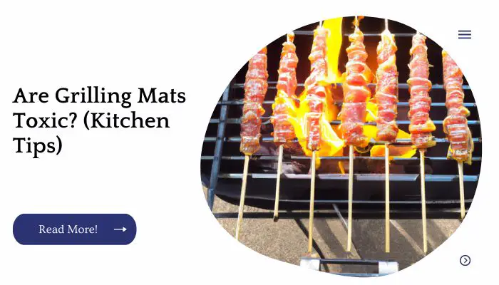 Are Grilling Mats Toxic? (Kitchen Tips)