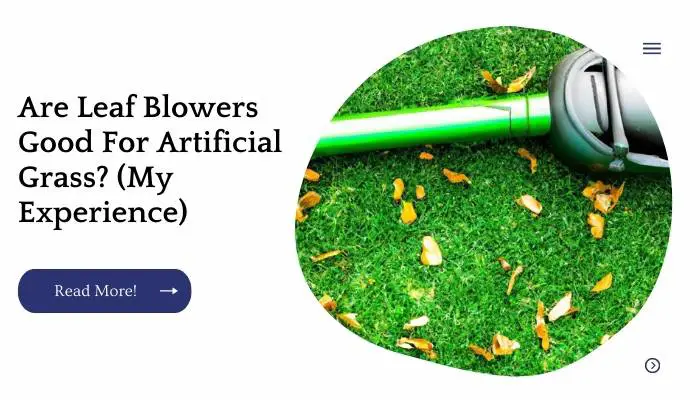 Are Leaf Blowers Good For Artificial Grass? (My Experience)