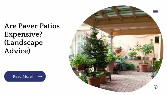 Are Paver Patios Expensive? (Landscape Advice)