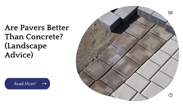 Are Pavers Better Than Concrete? (Landscape Advie)