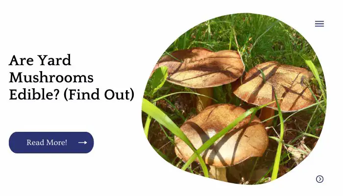 Are Yard Mushrooms Edible? (Find Out)