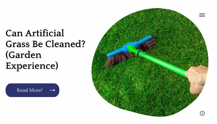 Can Artificial Grass Be Cleaned? (Garden Experience)