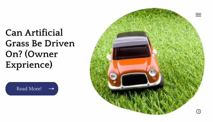 Can Artificial Grass Be Driven On? (Owner Exprience)