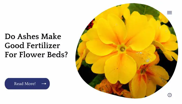 Do Ashes Make Good Fertilizer For Flower Beds?