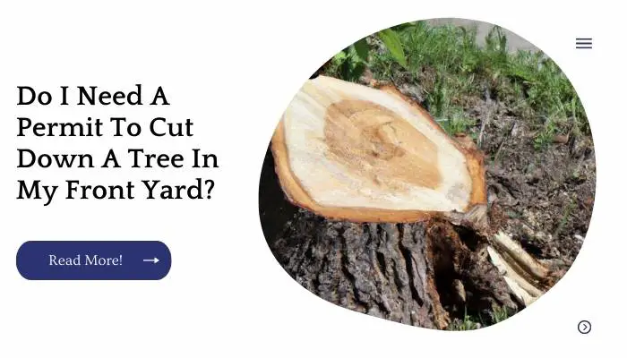 Do I Need A Permit To Cut Down A Tree In My Front Yard?