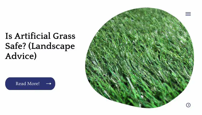 Is Artificial Grass Safe? (Landscape Advice)