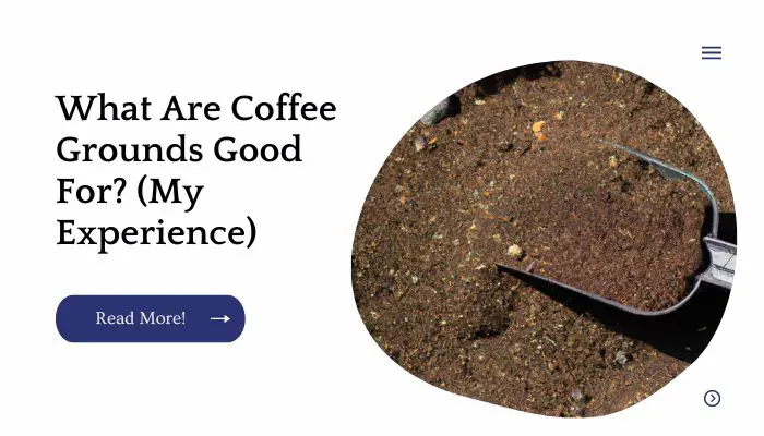 What Are Coffee Grounds Good For? (My Experience)