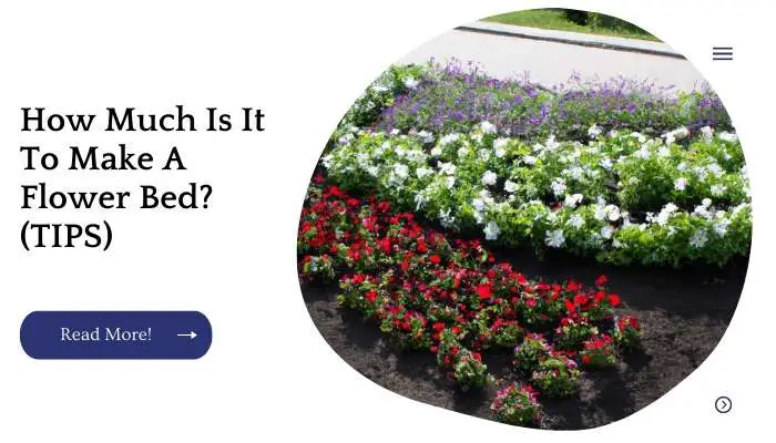 How Much Is It To Make A Flower Bed? (TIPS)