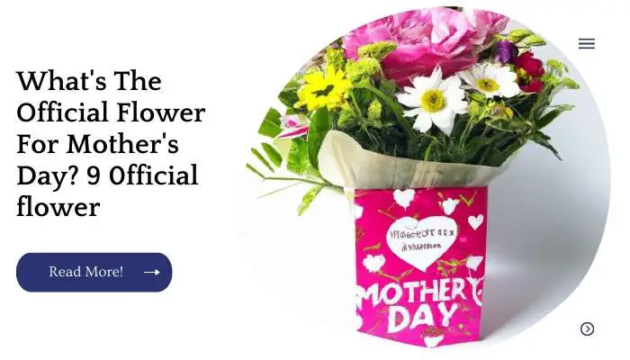 What's The Official Flower For Mother's Day? 9 0fficial flower