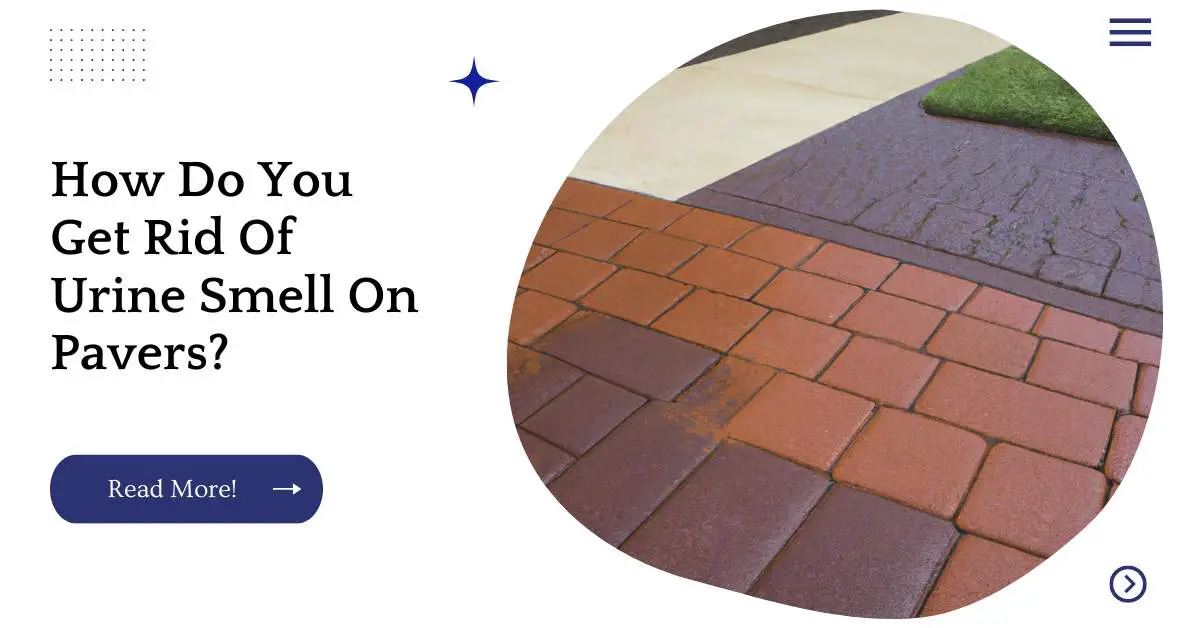 How Do You Get Rid Of Urine Smell On Pavers?