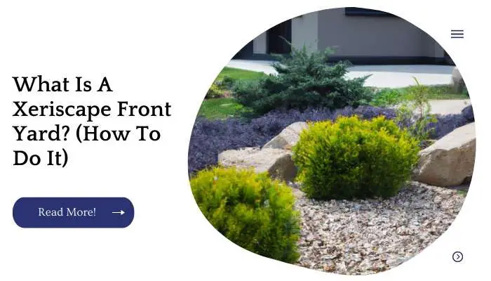 What Is A Xeriscape Front Yard? (How To Do It)