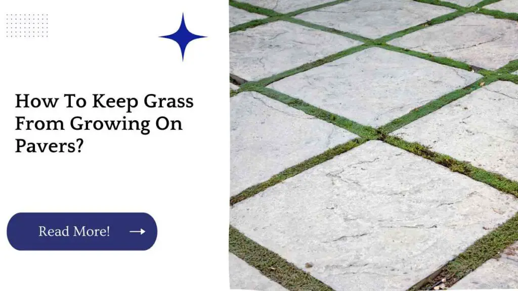 How To Keep Grass From Growing On Pavers? Unified Yard