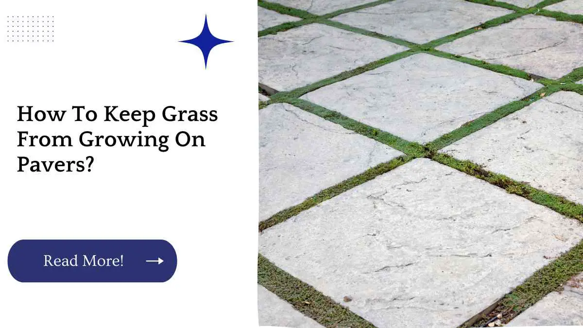How To Keep Grass From Growing On Pavers?