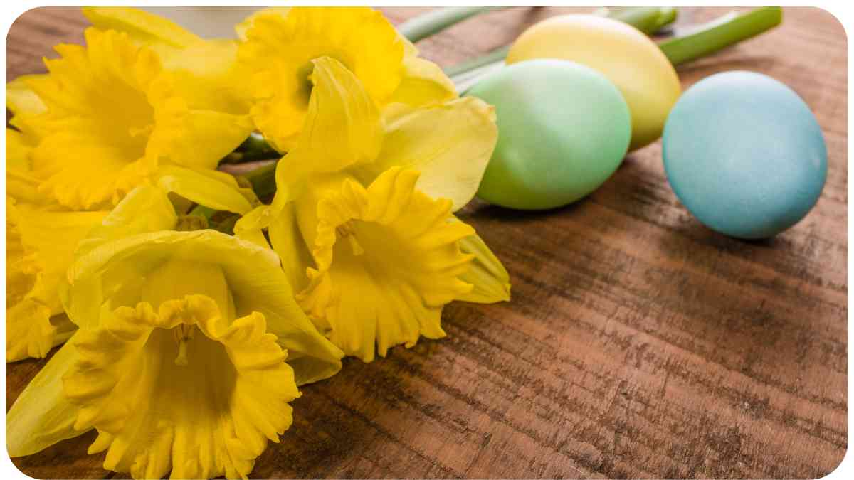 Why Are Your Daffodils Dying Early? A StepbyStep Troubleshooting