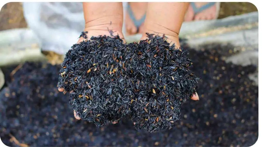 a pair of hands holding a pile of black ash