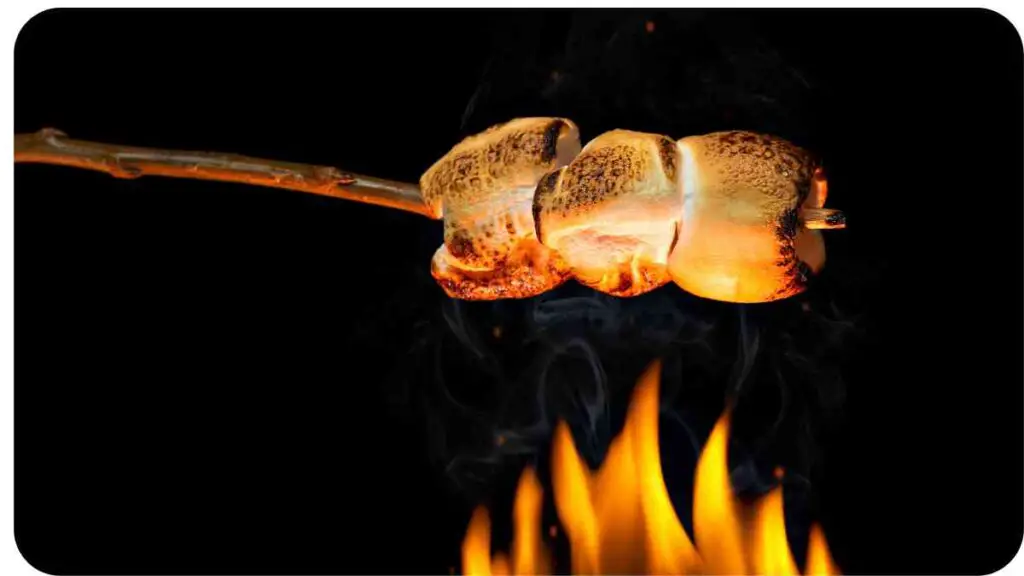 roasted marshmallows on a stick over a fire