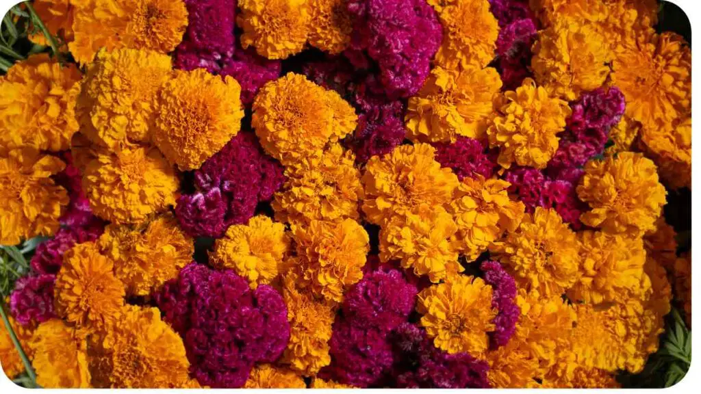 Can Dead Flowers Make You Sick? The Truth Unveiled Unified Yard