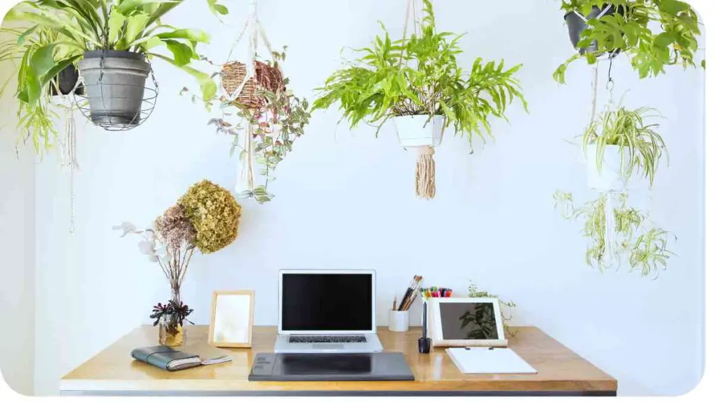 a desk with a laptop and plants hanging from the ceiling