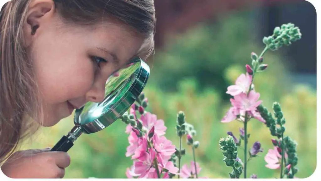 a little person is looking at flowers with a magnifying glass