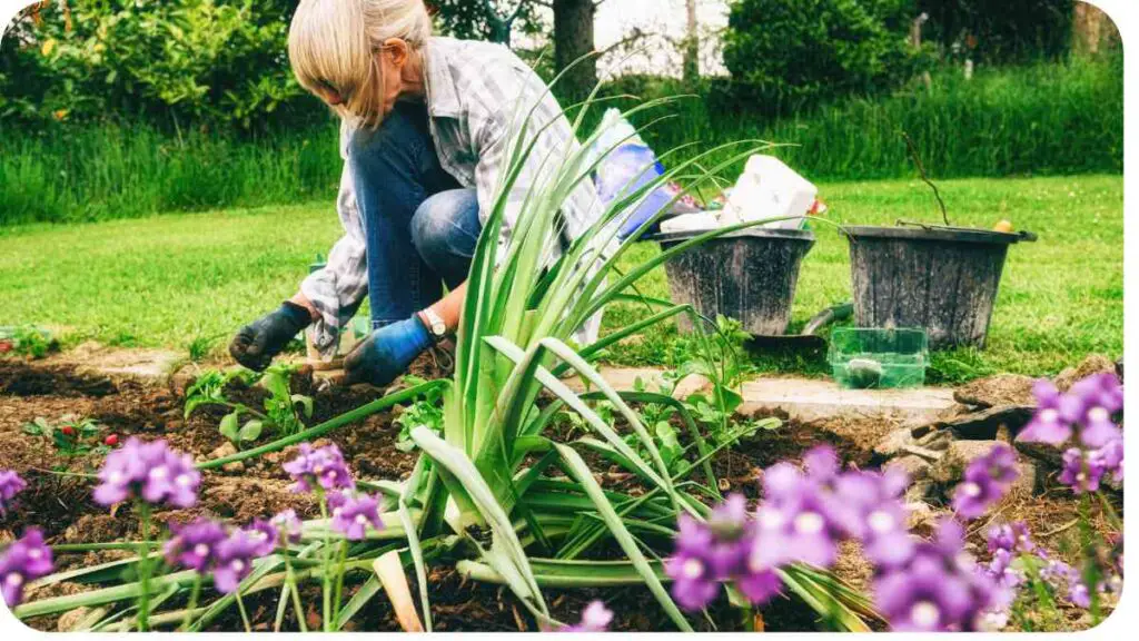 a person is working in the garden with purple flowers