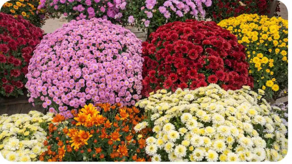 many different types of flowers are displayed in a basket