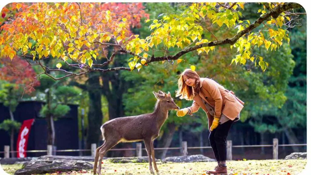 a person petting a deer in an autumn park