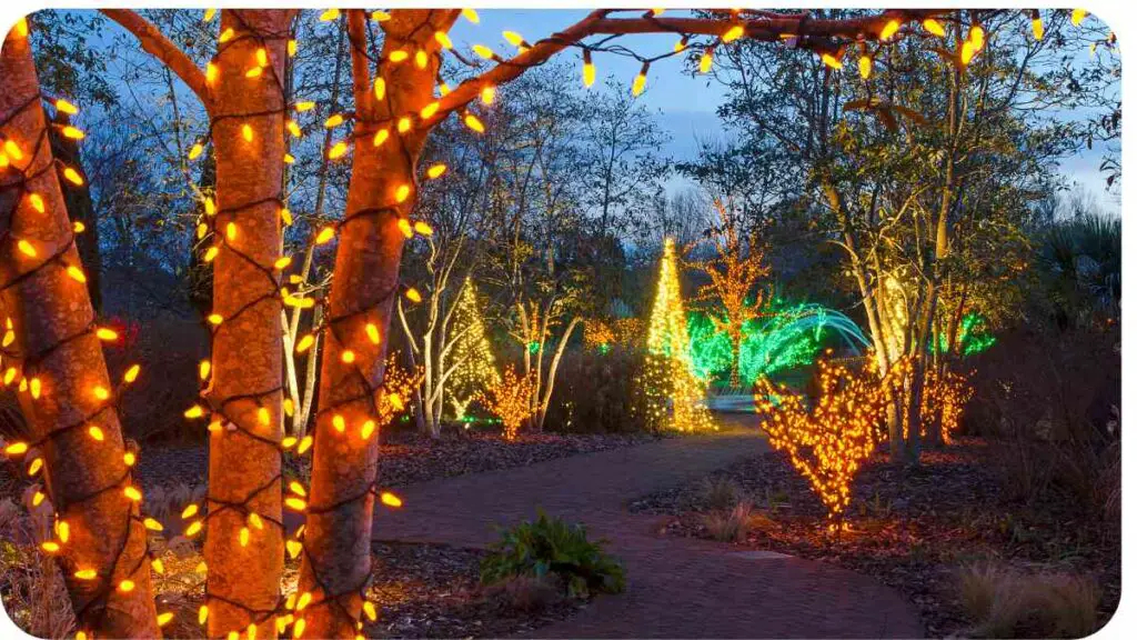 christmas lights in a park at night