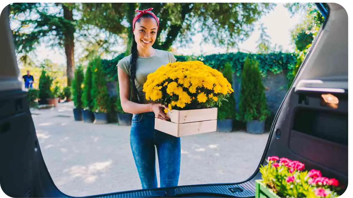 A person holding a box of flowers in the back of a car.